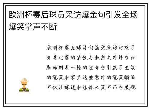 欧洲杯赛后球员采访爆金句引发全场爆笑掌声不断