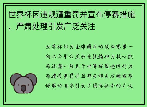 世界杯因违规遭重罚并宣布停赛措施，严肃处理引发广泛关注